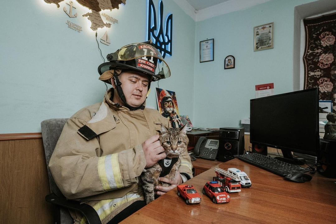 Одну з рятувально-пожежних частин Харкова відвідав знаменитий кіт Степан