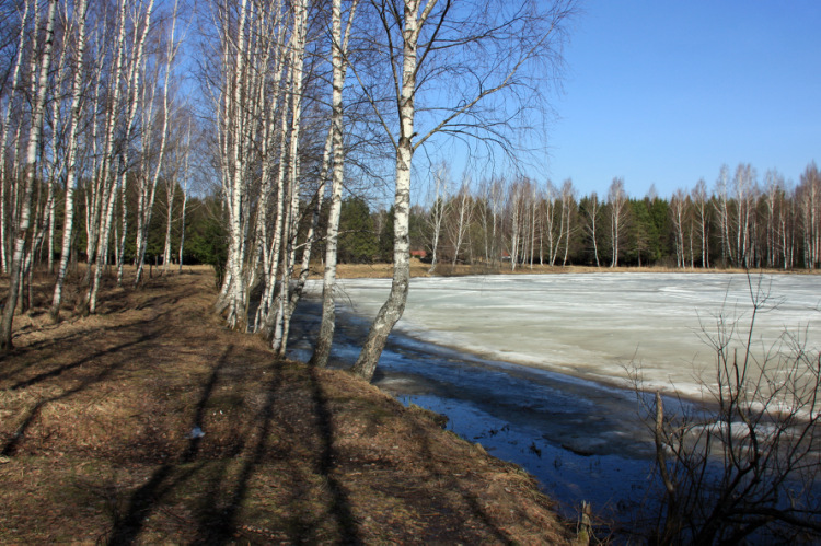 ВЕСНОВІЙ