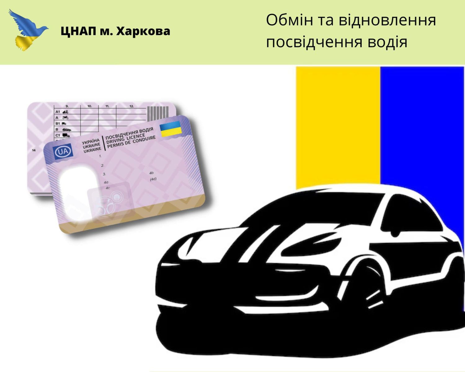 Відновити посвідчення водія: де та як це можна зробити у Харуові