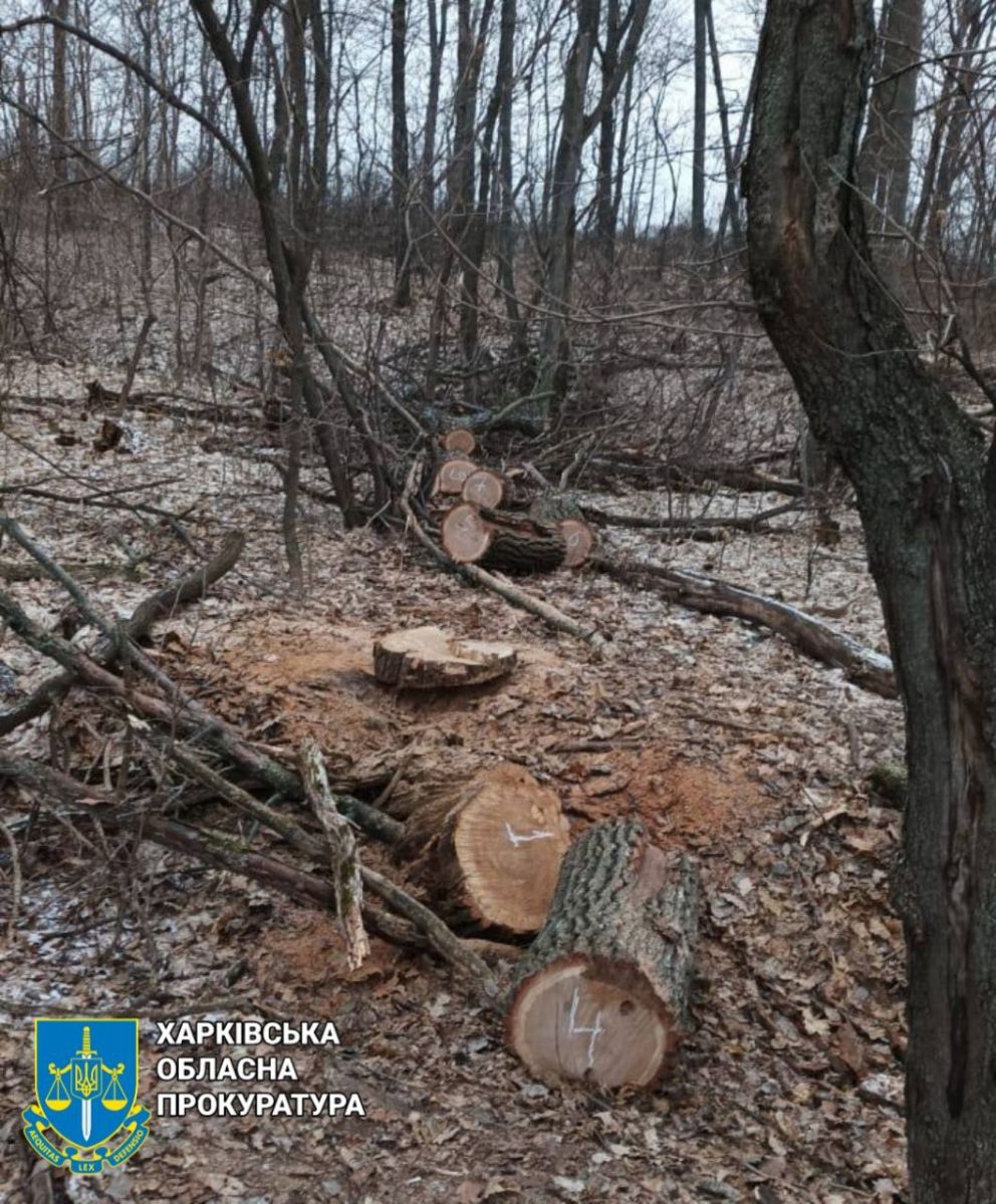 Поблизу с. Козіївка Богодухівського району правоохоронці викрили чорного лісоруба