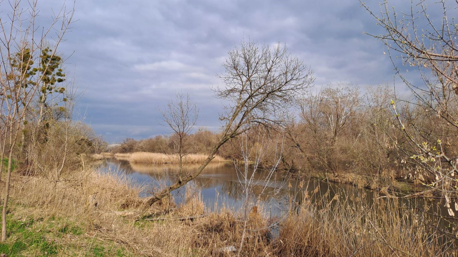 ріка Лопань, Харків