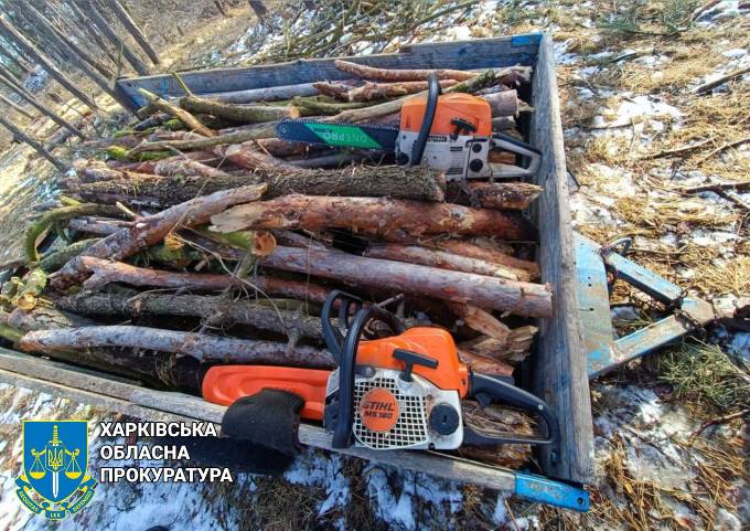 На Ізюмщині викрито трьох чорних лісорубів, які нанесли Шкода майже на пів мільйона гривень