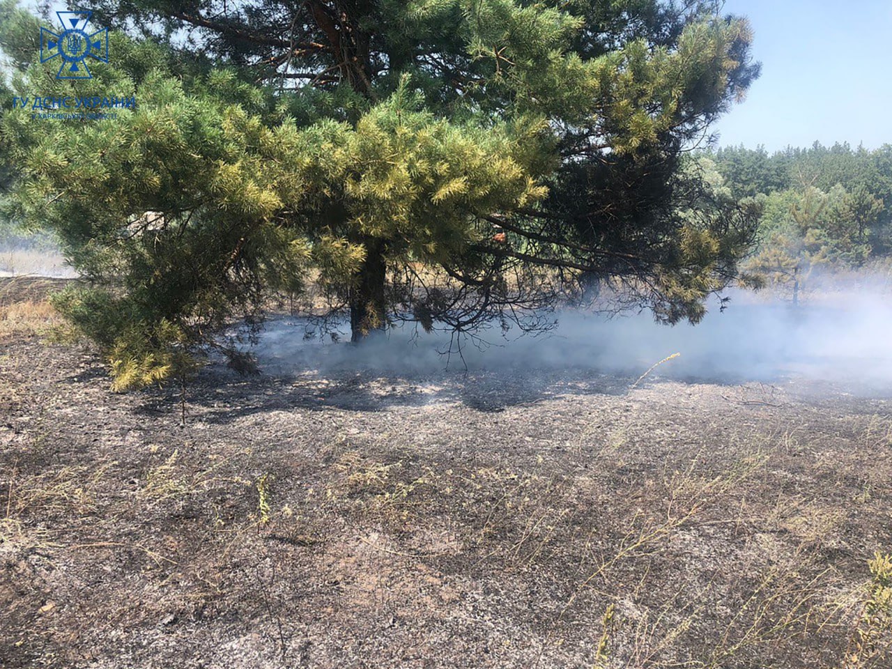 Пожежа Харків: Охопила гектар вогняна стихія через обстріл ворога