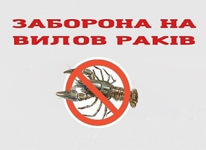 Для харківських рибалок з 15 серпня діє ще одна заборона