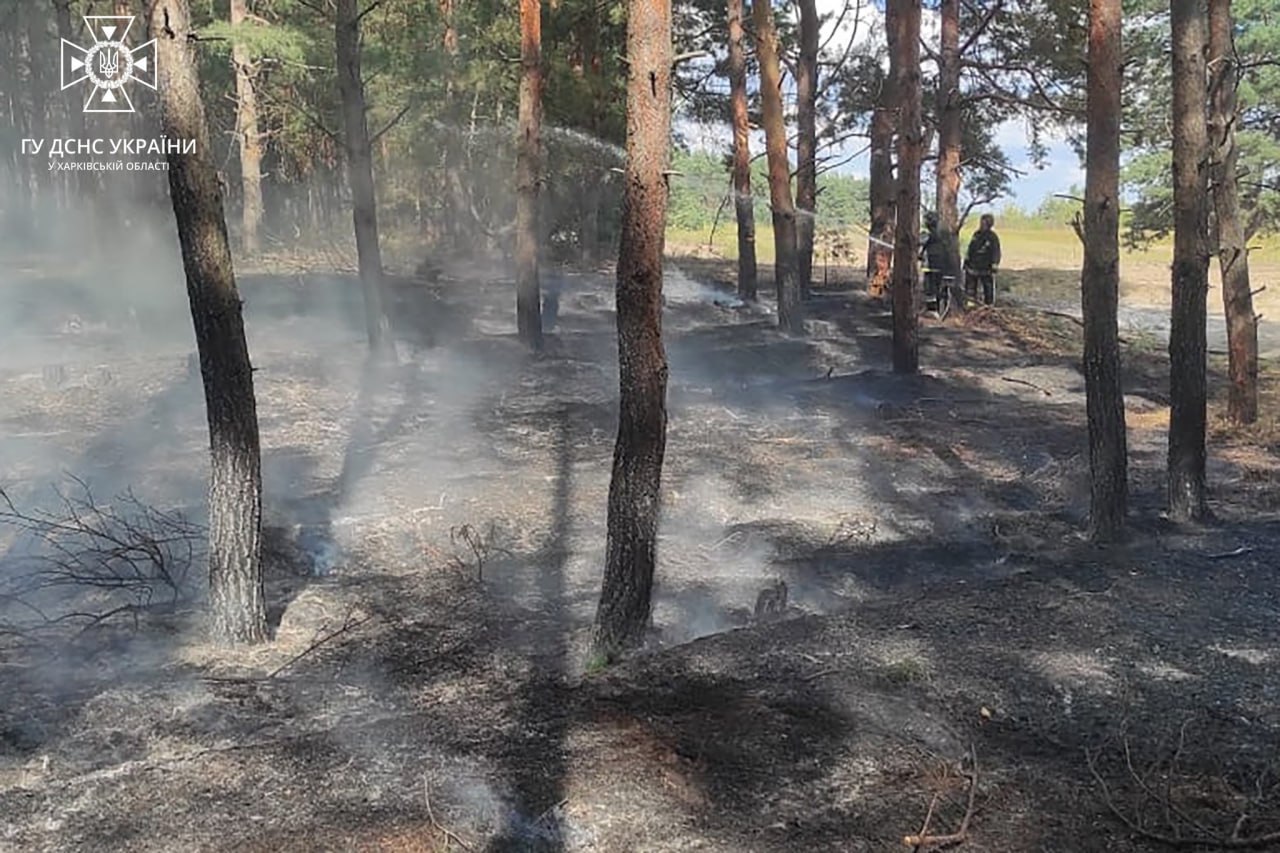 Сталися пожежі у лісових масивах Харківщини через обстріли окупантів