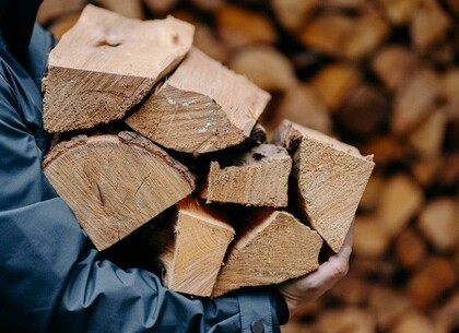 Мешканці Харківщини можуть отримати безкоштовні дрова на зиму: хто саме