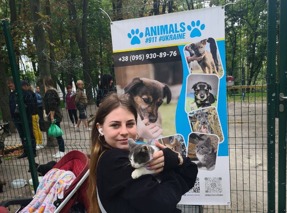 Знайшли домівку десятки котів та песиків за допомогою волонтерів з організації Animals 911. Новини Харкова