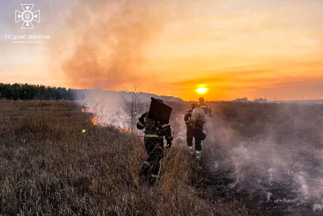 Обстріляли Московку на Харківщині, випалюючи лани, окупанти