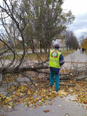 Комунальники усувають наслідки негоди у Харкові