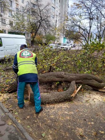 Комунальники усувають наслідки негоди у Харкові