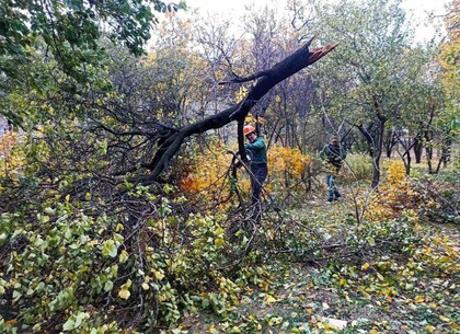 Комунальники усувають наслідки негоди у Харкові (фото)