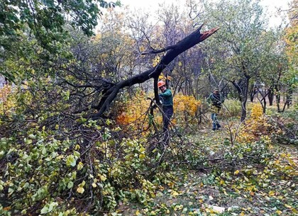 Харківські комунальники продовжують усувати наслідки негоди