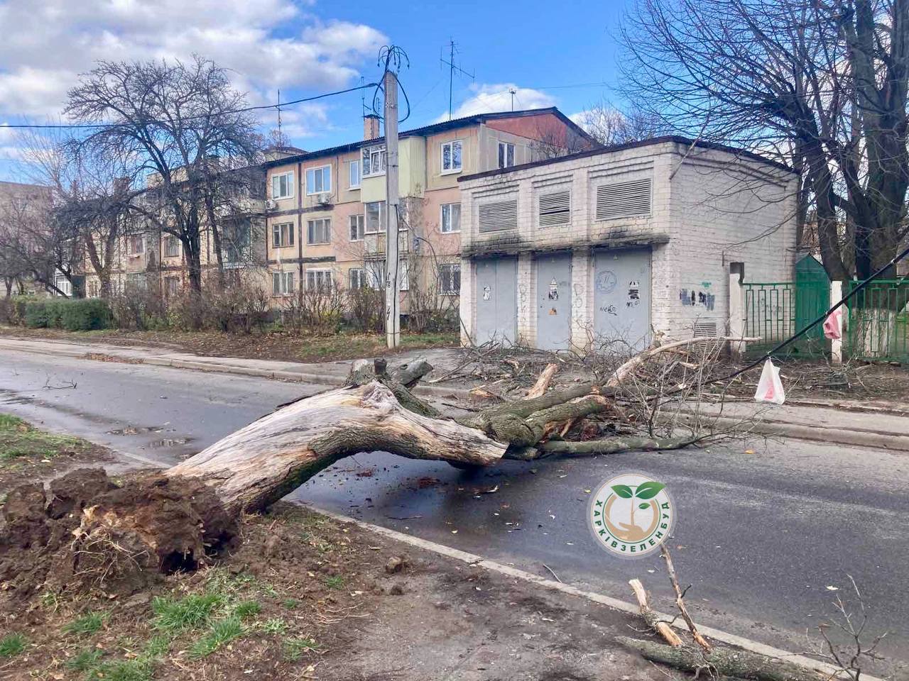 Впали більше десятка дерев та пошкоджено дахи під час негоди у Харкові