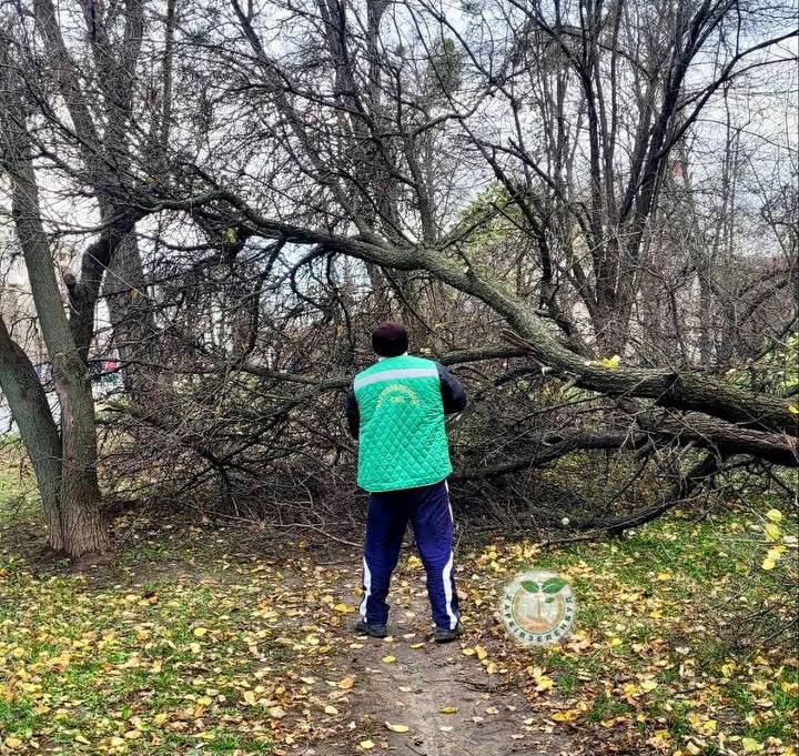 Впали більше десятка дерев та пошкоджено дахи під час негоди у Харкові