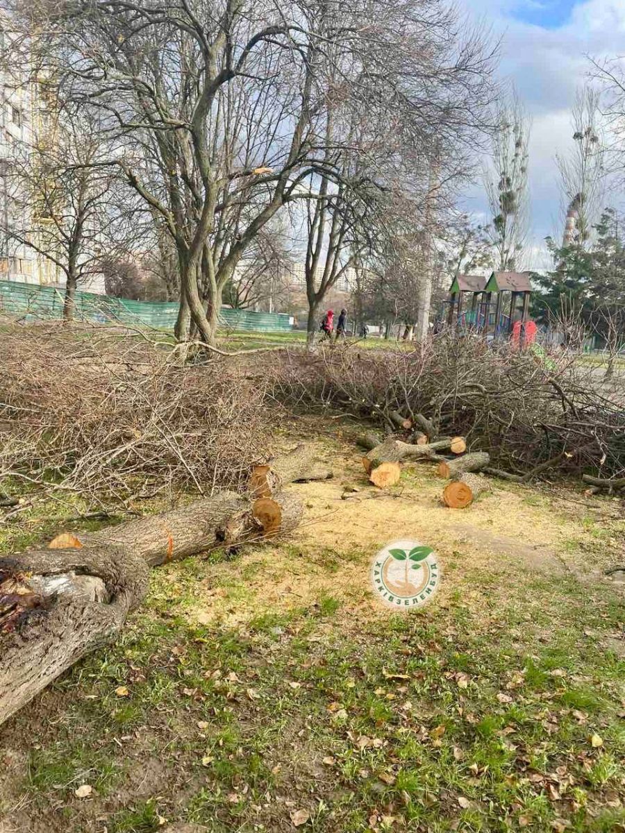 Впали більше десятка дерев та пошкоджено дахи під час негоди у Харкові