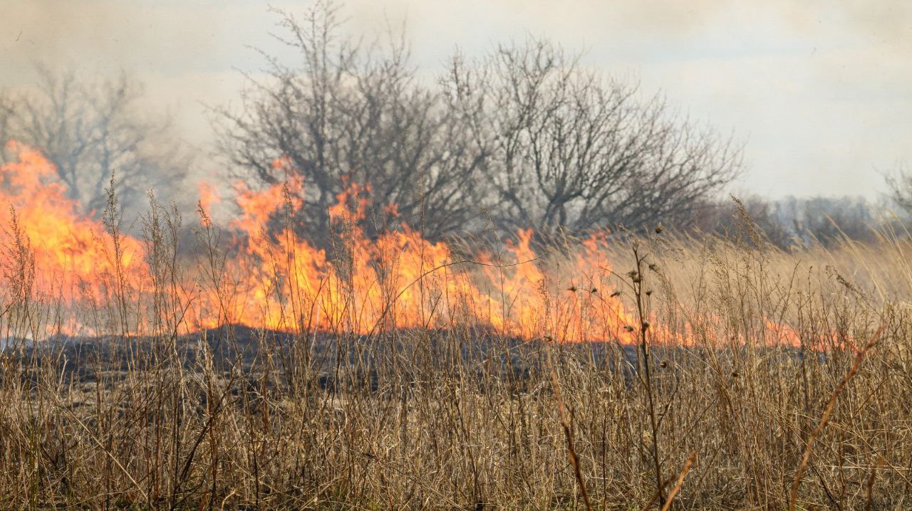 Пожежа Харків: Врятували від вогню будинки на Салтівці ДСНСники