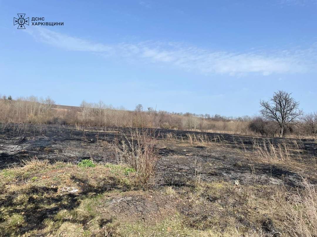 Згоріла у палаючому сухостої жінка на Харківщині