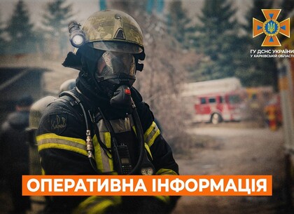 Рятувальники Харківщини загасили пожежі в екосистемах після обстрілів