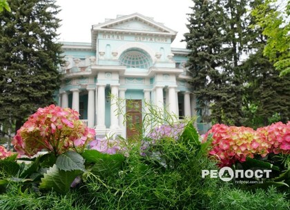 Нова квіткова інсталяція з'явилася біля Палацу одруження Харкова