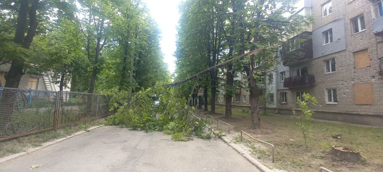 Повалив дерева та пошкодив дахи шквальний вітер у Харкові