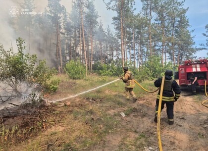 Рятувальники Харківщини гасили більше 30 гектарів лісових пожеж після обстрілів окупантів