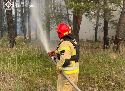 Рятувальники Харківщини ліквідували лісові пожежі та загоряння приватного сектору після обстрілів окупантів