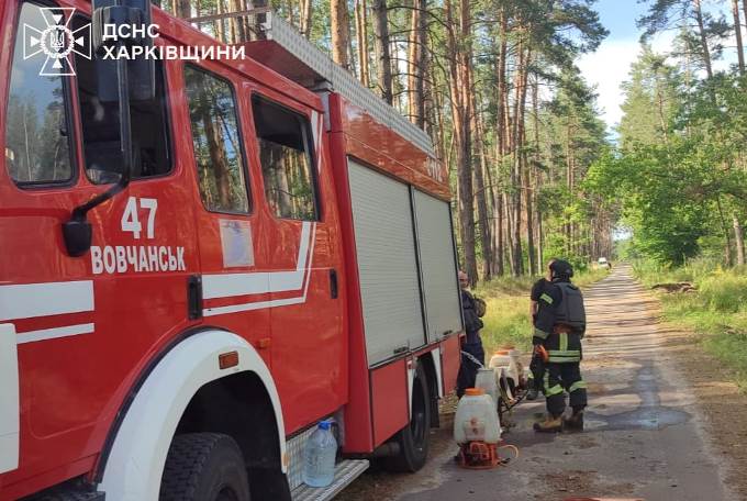 лісова пожежа, старосалтівське лісництво, харків, ворожі обстріли