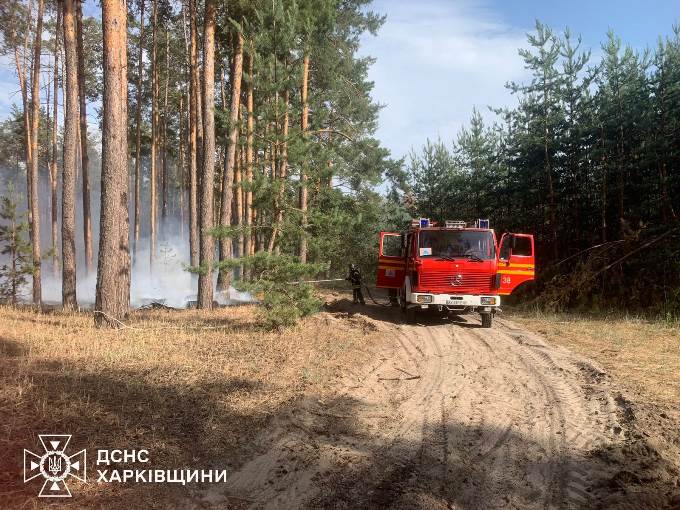 лісова пожежа, старосалтівське лісництво, харків, ворожі обстріли