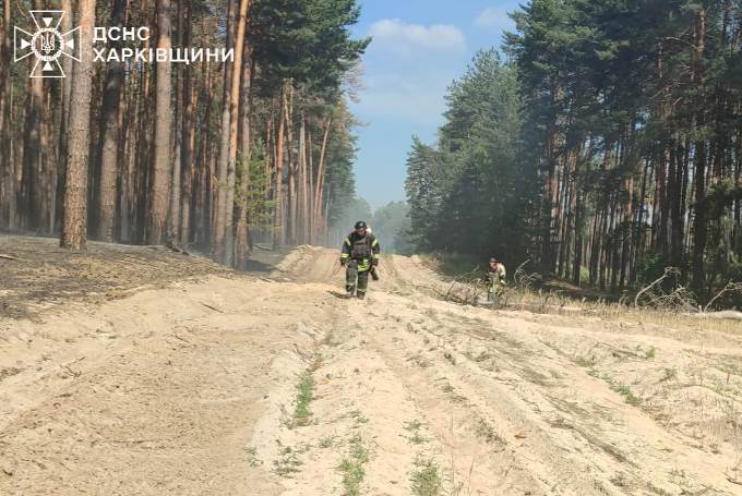 лісова пожежа, старосалтівське лісництво, харків, ворожі обстріли