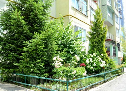 Харків'яни створили квіткові двори (фото)