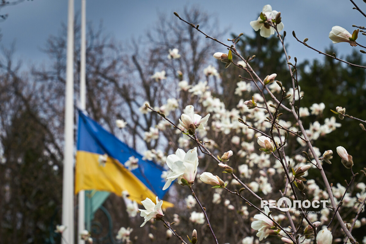 Харків, магнолії