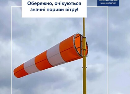 У Харкові попереджають про сильний вітер і жовтий рівень небезпеки