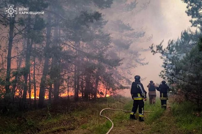 Новини Харкова: біля Березників горить ліс