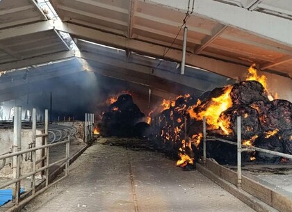 Один загиблий, 4 постраждалих особи: наслідки обстрілів Харківської області