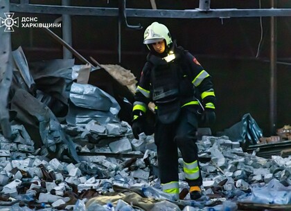 Рятувальники гасили пожежі у передмісті від атаки дронів, яка розбудила весь Харків (фото)