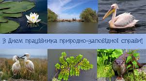 День працівника природно-заповідної справи.