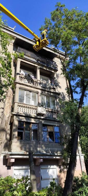 Комунальники «Харківзеленбуду» прибрали дерева після нічної атаки в Харкові