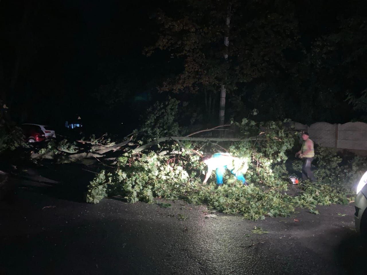 Усувають наслідки буревію у місті: Новини Харкова