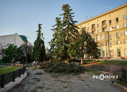 Що наробила стихія в парках Харкова (фото)