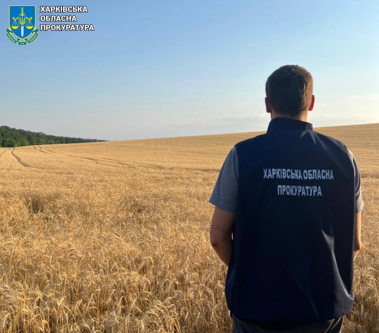 На Харківщині прокуратура через суд повертає державі майже 600 га сільськогосподарських земель