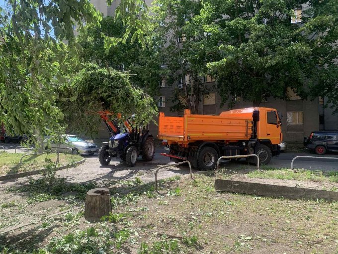 У Харкові після буревію розпиляли понад 180 дерев