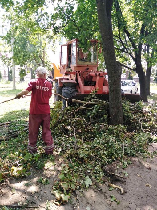 У Харкові після буревію розпиляли понад 180 дерев