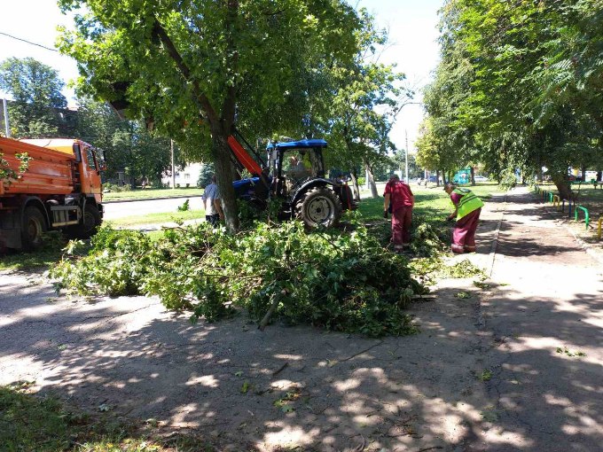 У Харкові після буревію розпиляли понад 180 дерев