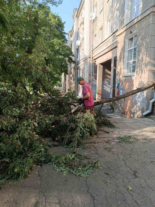 У Харкові після буревію розпиляли понад 180 дерев
