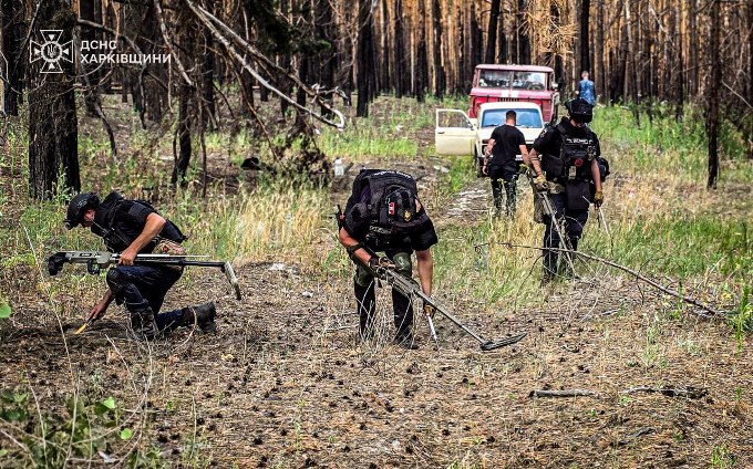 у лісництві на Ізюмщині ліквідували пожежу на 12 га