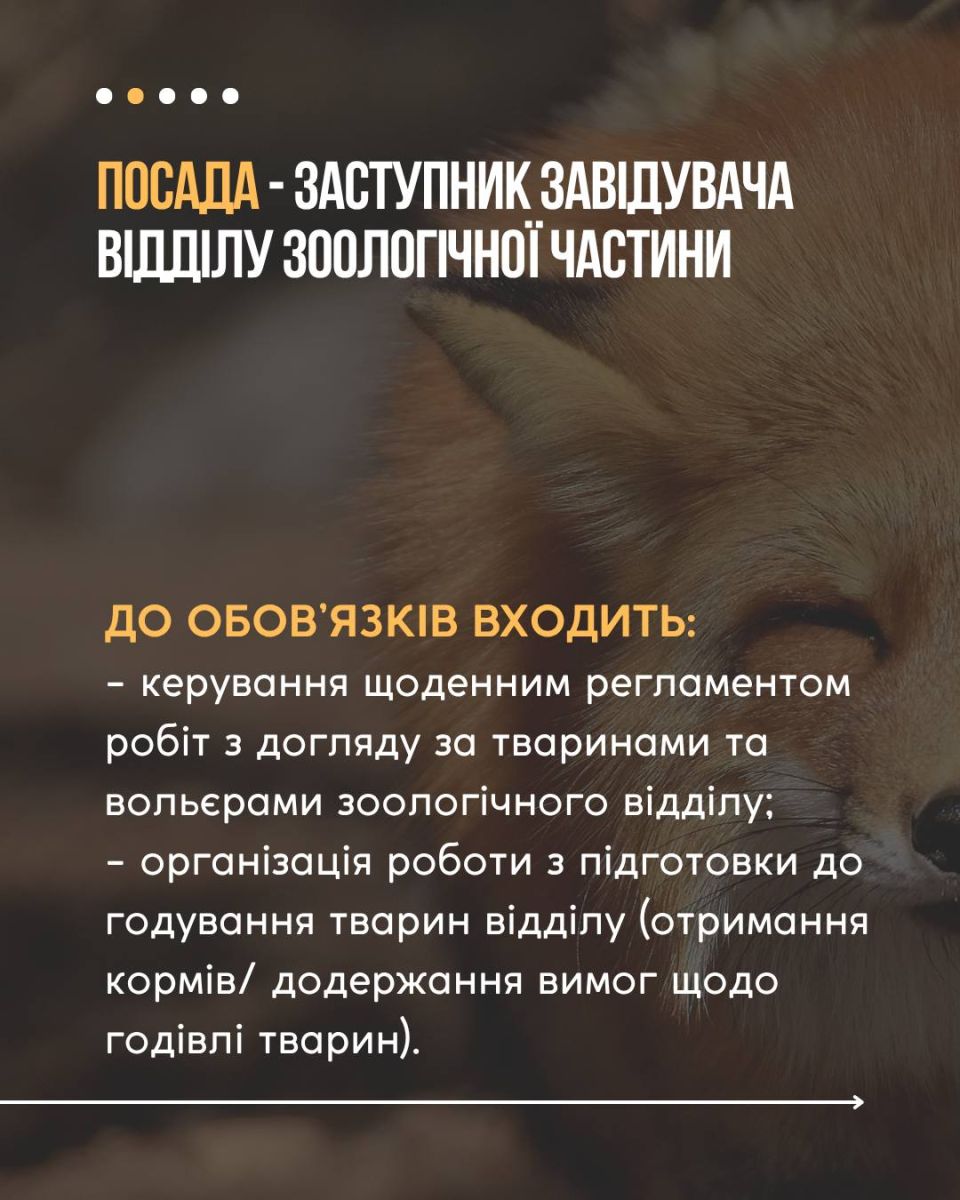 Запрошує на роботу зоопарк: Новини Харкова