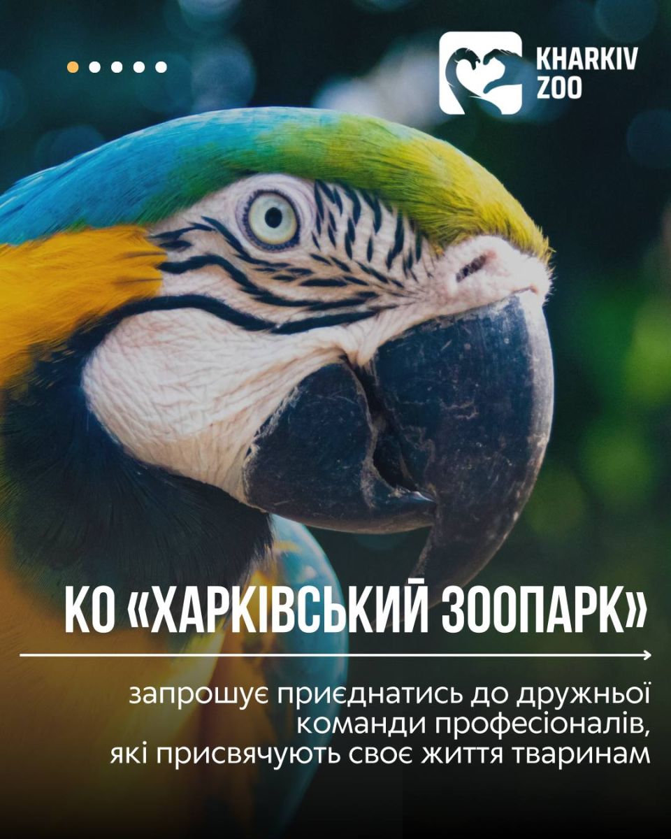 Запрошує на роботу зоопарк: Новини Харкова