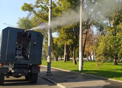 У Харкові 28–29 липня оброблять дерева в парках для захисту від шкідників