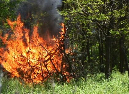 Харківобленерго закликає дотримуватись правил пожежної безпеки