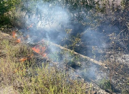 Правоохоронці показали наслідки ворожих обстрілів Харківщини